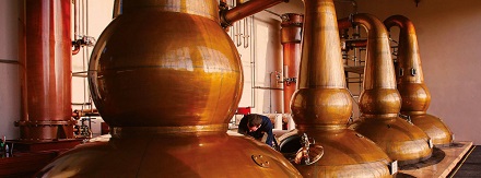 Glendronach Stills