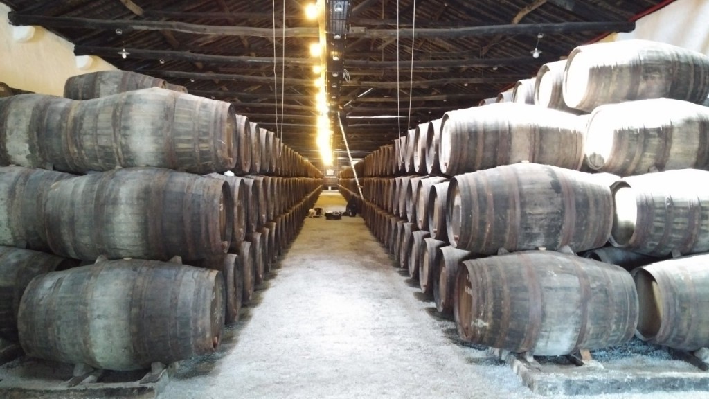 Cellars at Taylor Fladgate's Lodge
