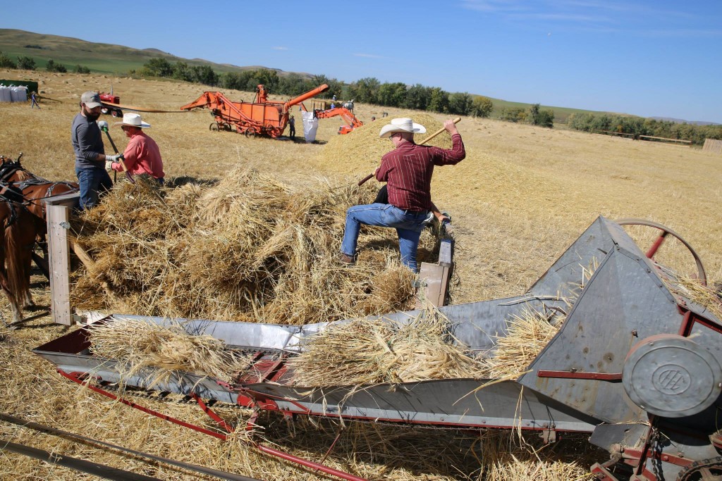 Eau Claire Grain Harvest