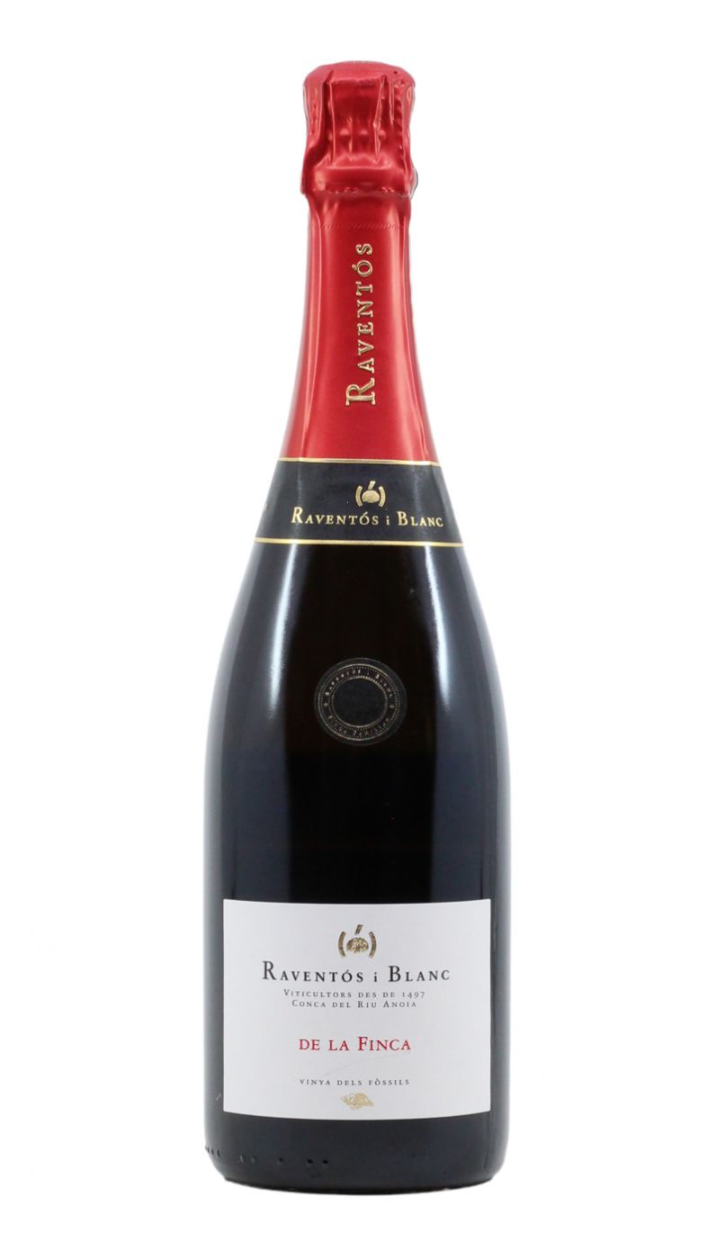 Raventos Finca