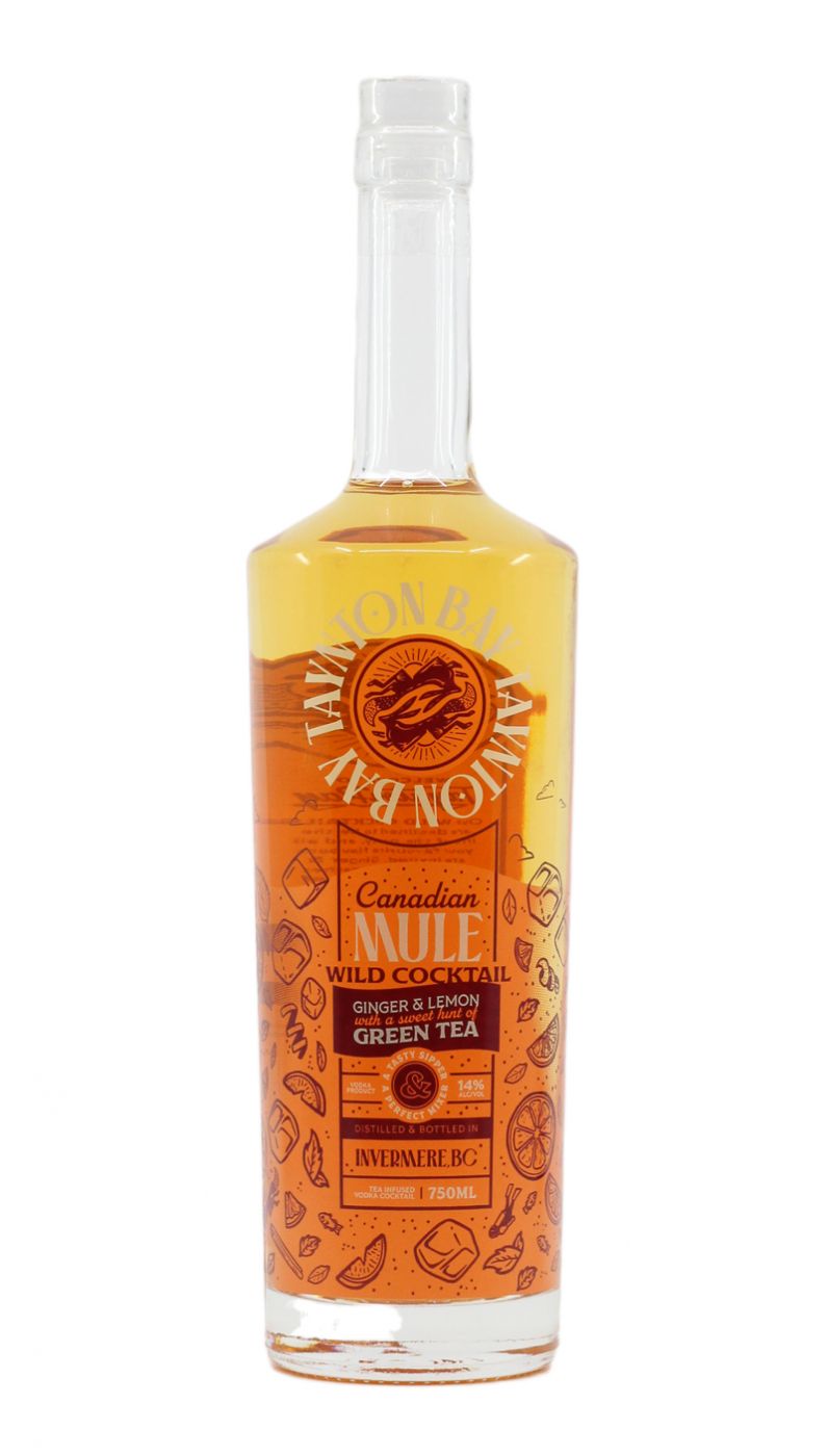 Taynton Bay Ginger Matcha Tea Infusion