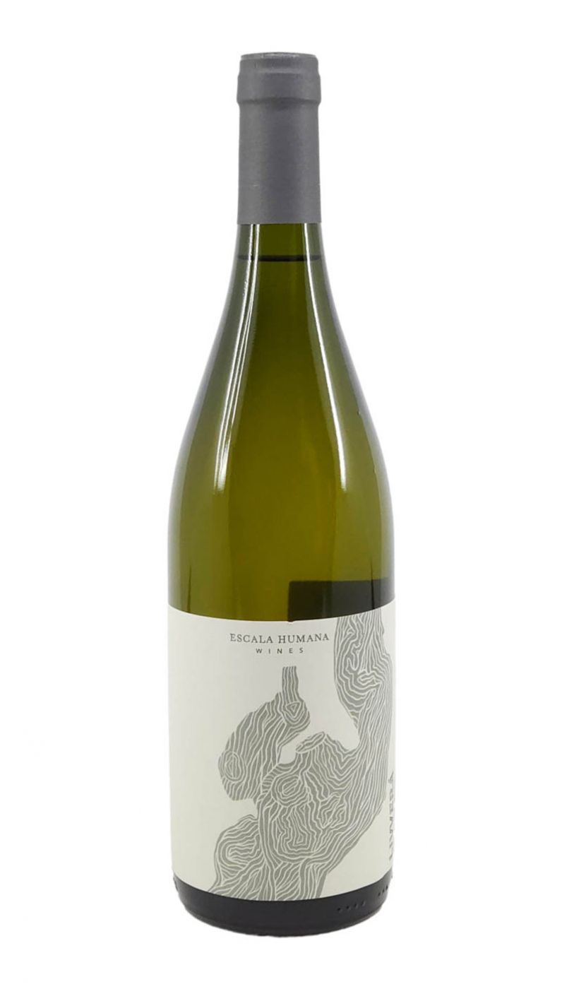 Escala Humana Malvasia