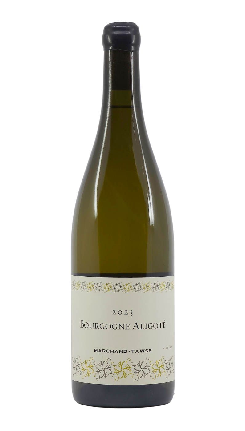 Marchand Tawse Aligote